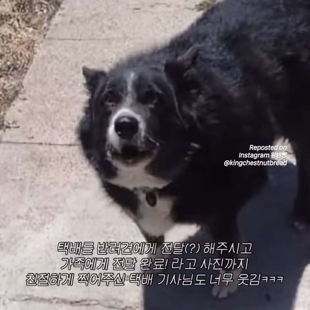 집에 아무도 없는데 가족이 수령했다고 배송완료 문자가 온거야... 3