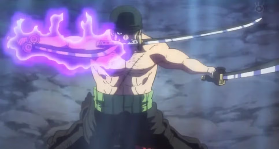 원피스 조로 로이더 의혹 4