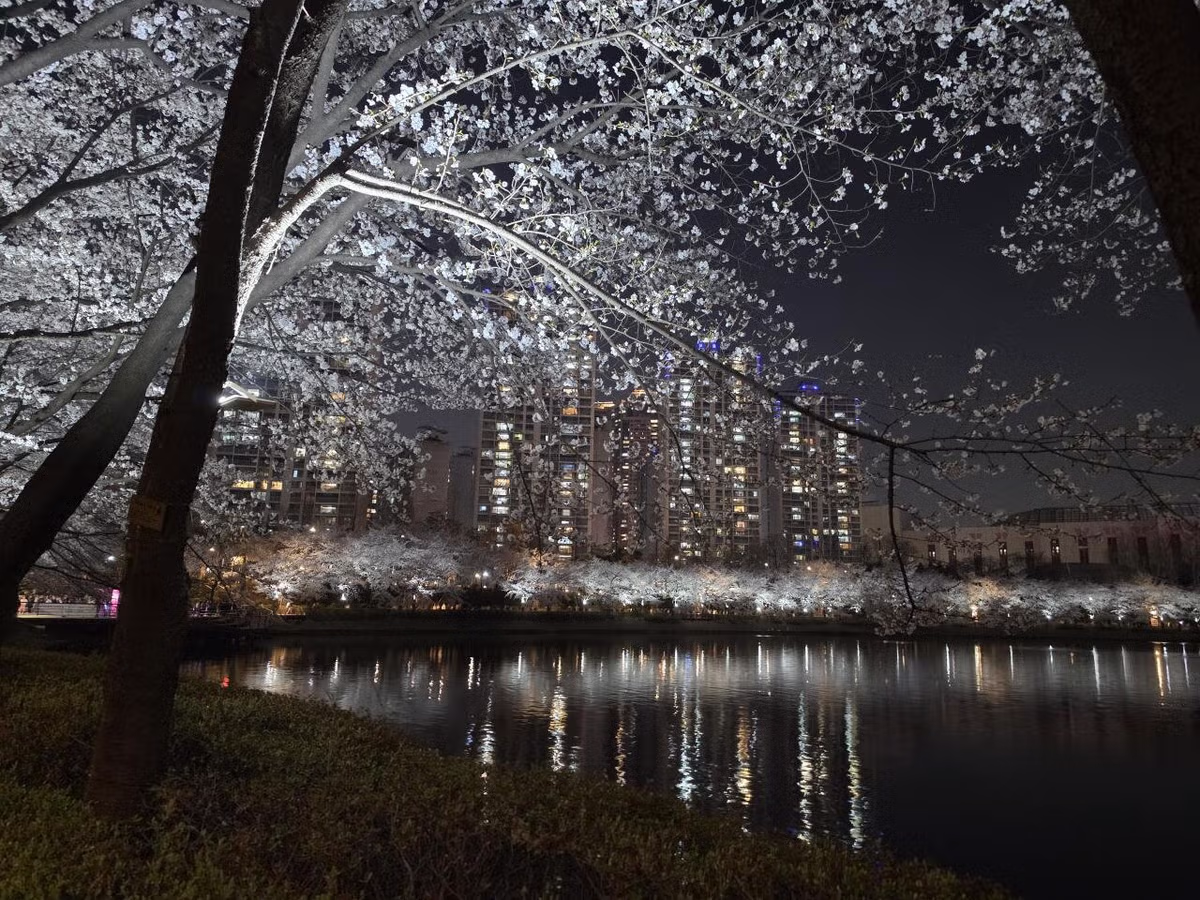 현재 석촌호수.jpg 3