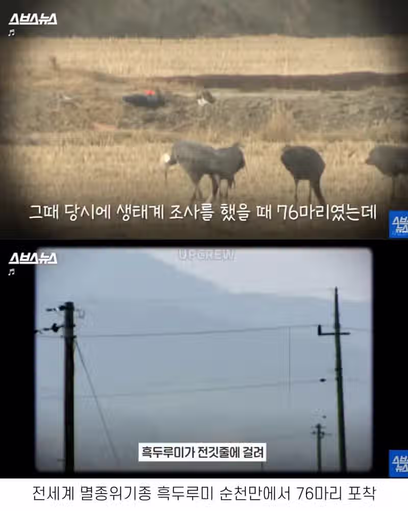 좋은 일 많이 해서 축복 받은 한국 도시 2