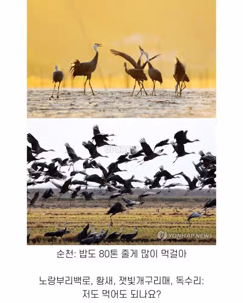 좋은 일 많이 해서 축복 받은 한국 도시 6