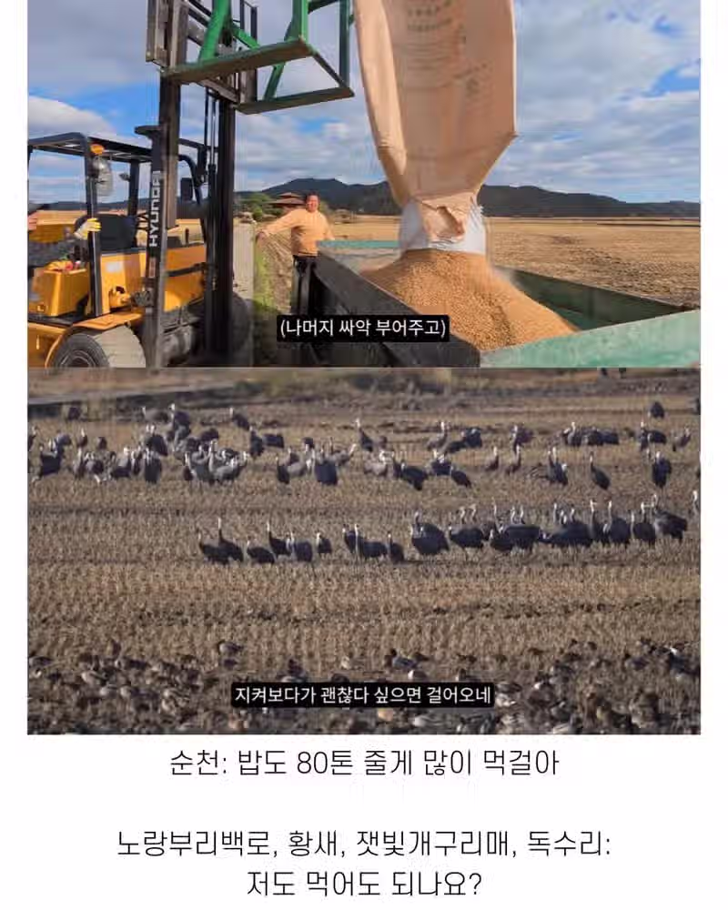 좋은 일 많이 해서 축복 받은 한국 도시 5