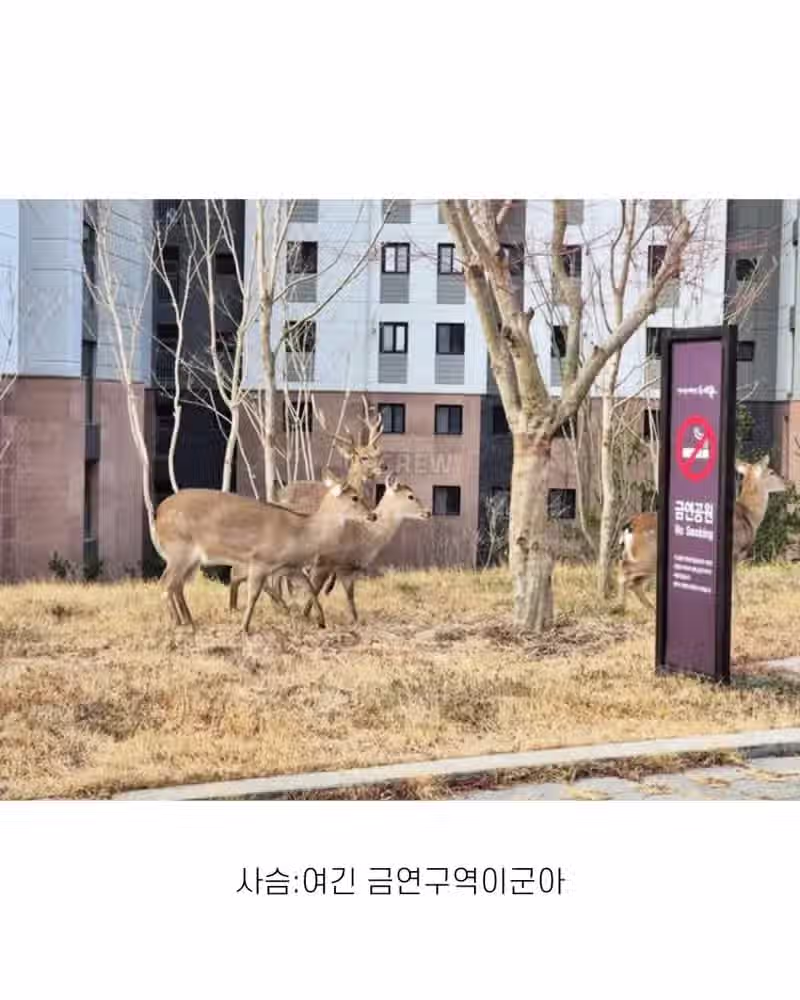 좋은 일 많이 해서 축복 받은 한국 도시 12