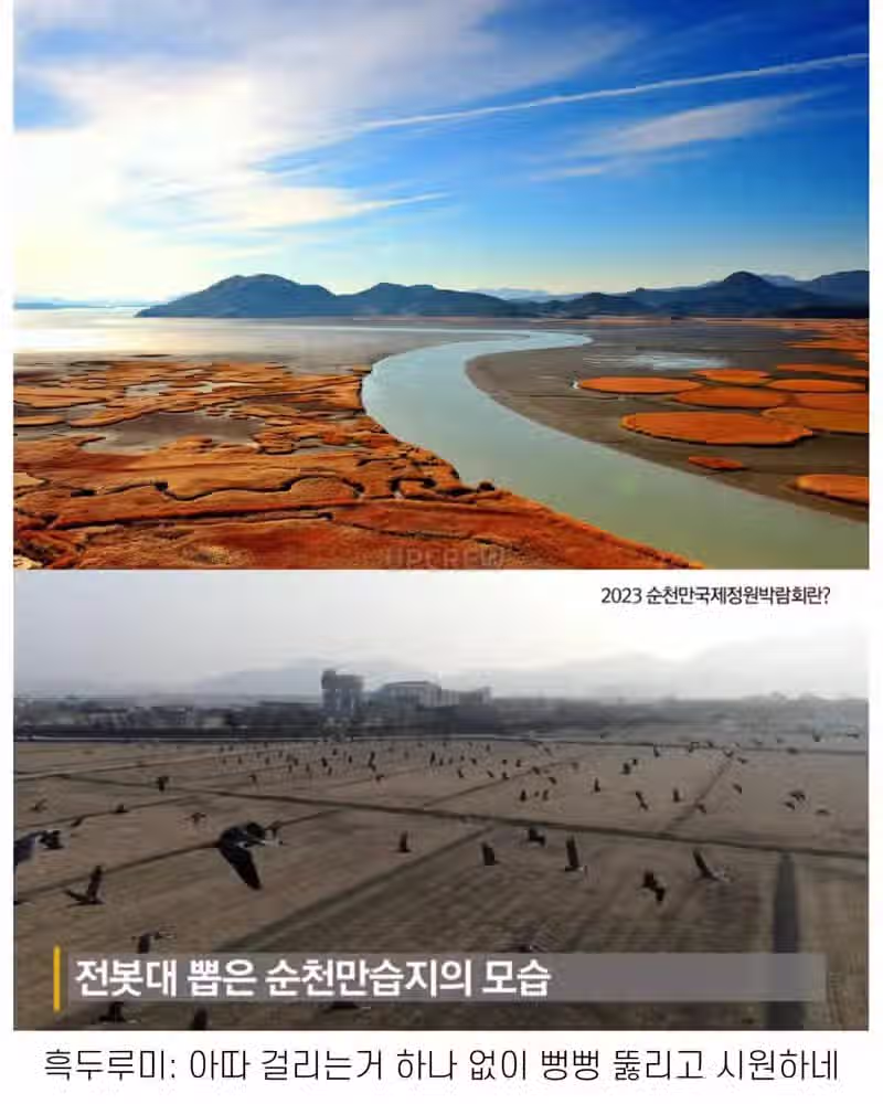 좋은 일 많이 해서 축복 받은 한국 도시 4