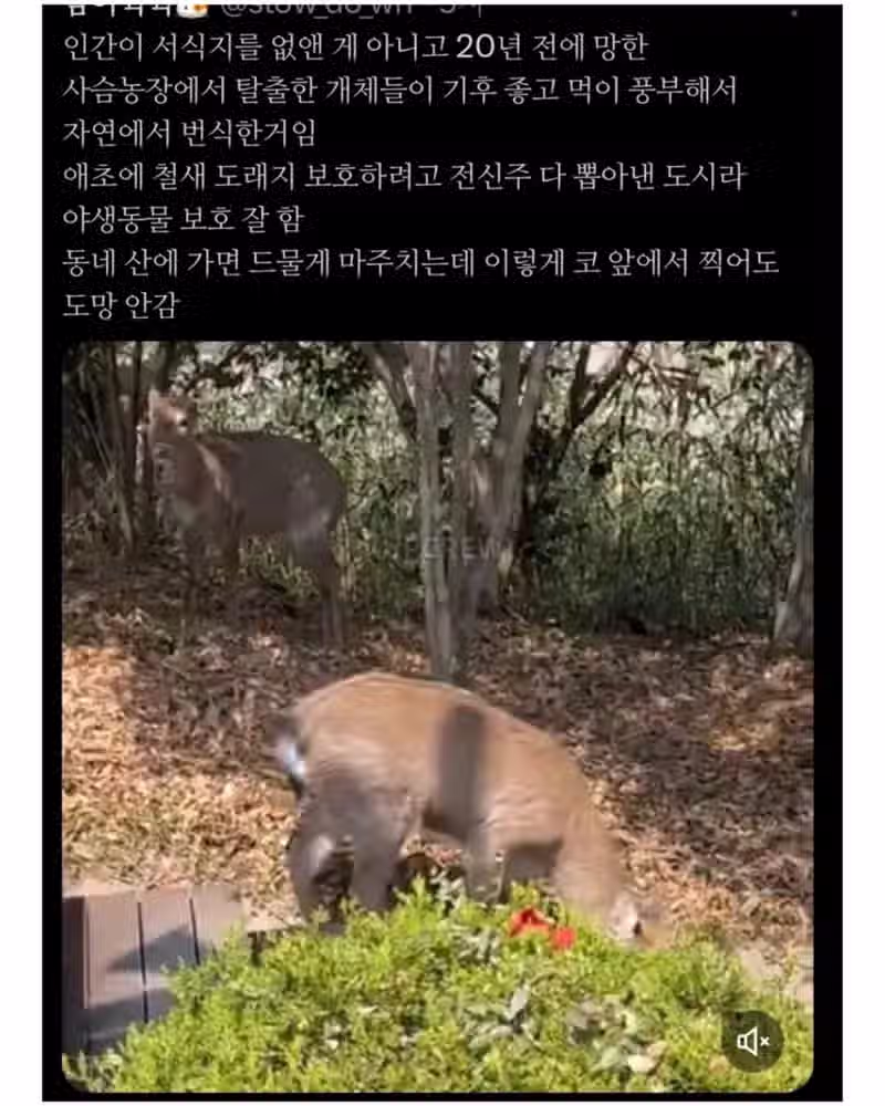 좋은 일 많이 해서 축복 받은 한국 도시 11