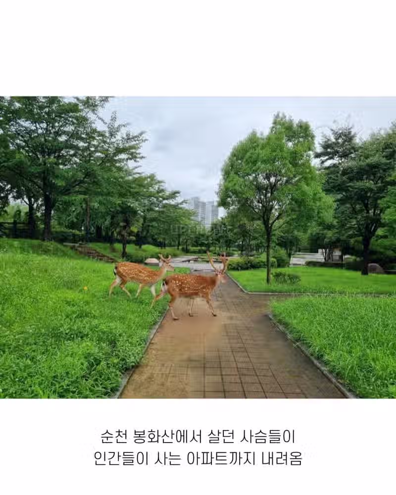 좋은 일 많이 해서 축복 받은 한국 도시 9