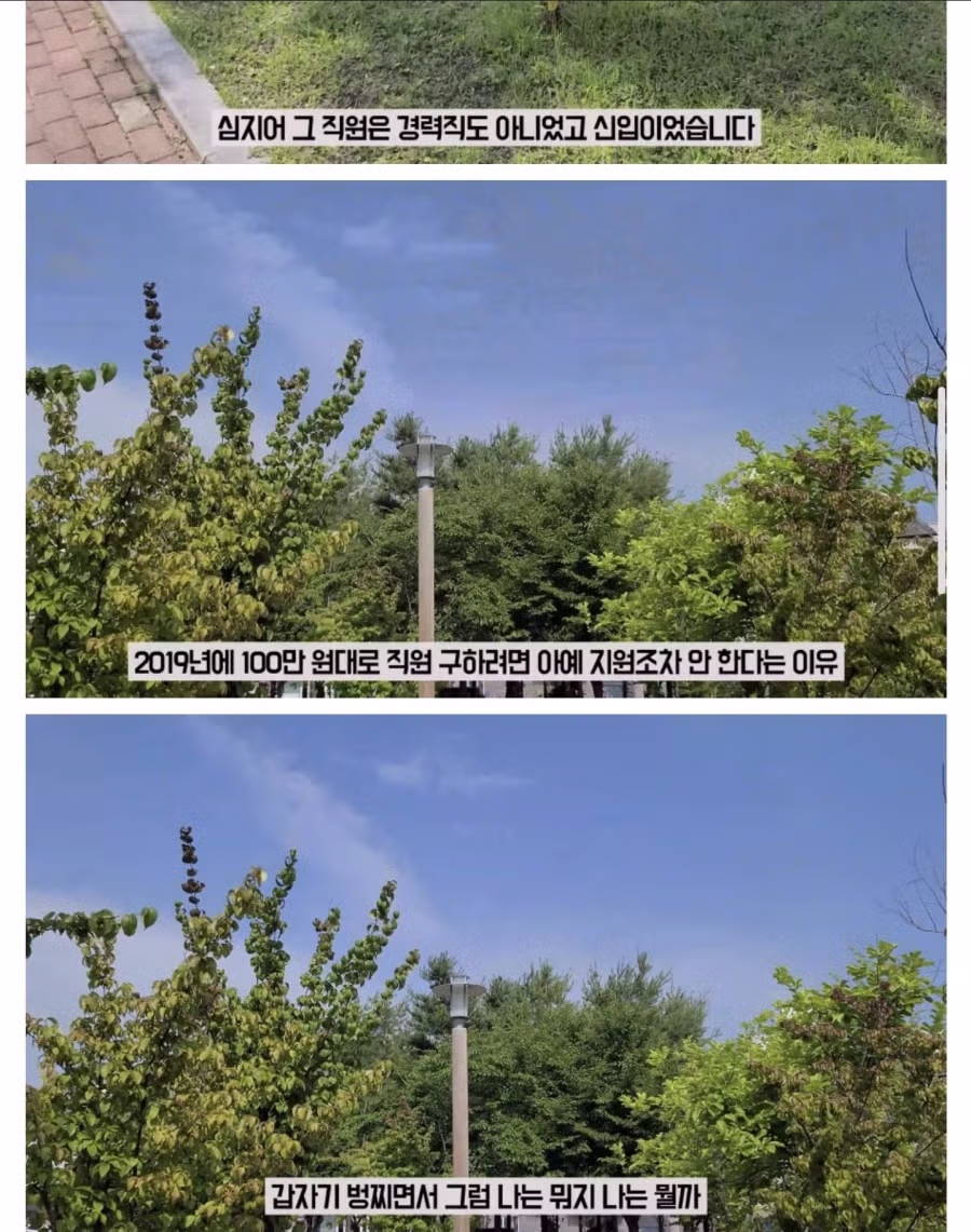 좋소기업 7년 다니던 사람이 퇴사한 이유 3