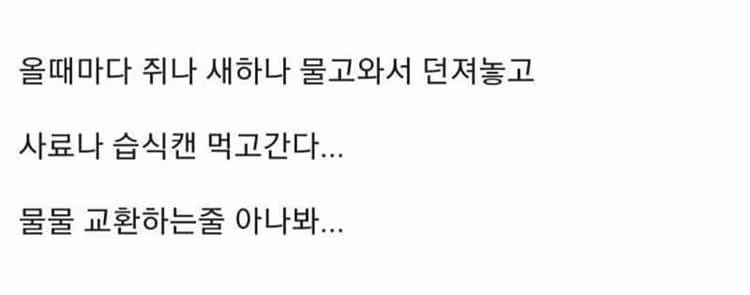 고양이랑 물물교환하는 디씨인 2