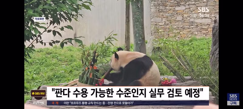 광주 우치동물원 실사 점검하는 외교부..판다 수용시설 초기비용 350억 추산 2