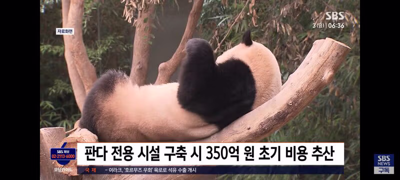 광주 우치동물원 실사 점검하는 외교부..판다 수용시설 초기비용 350억 추산 4