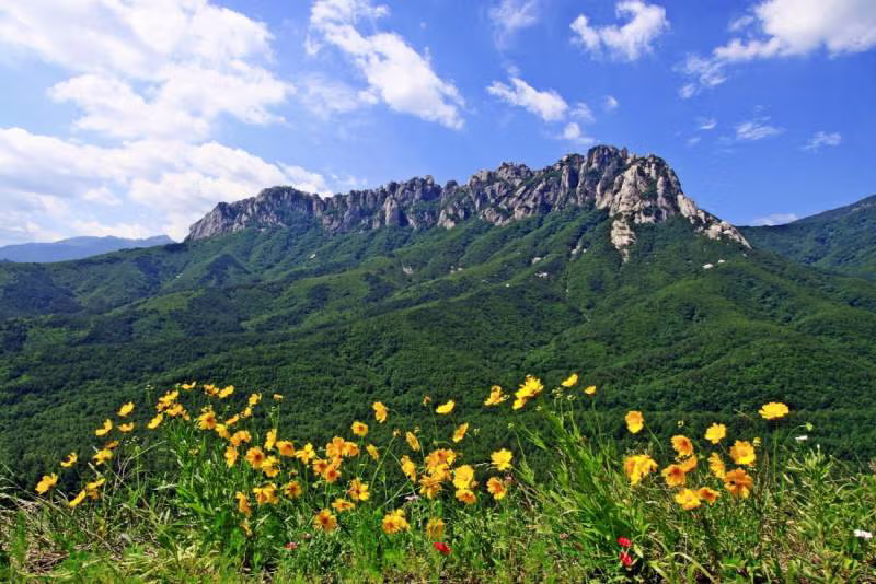 현재 바위 하나로 장사한다는 K-리조트..JPG63 2