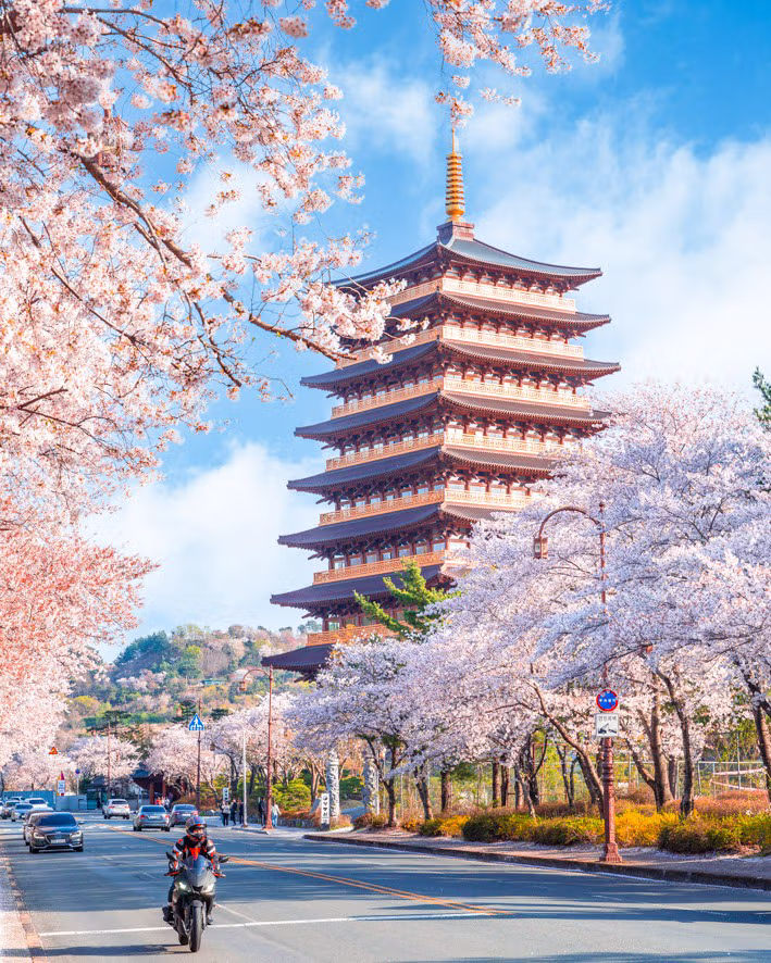 외국인들이 찍은 경주 여행 사진 2