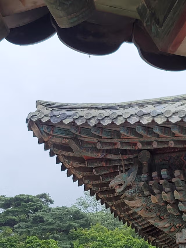 외국인들이 찍은 경주 여행 사진 3