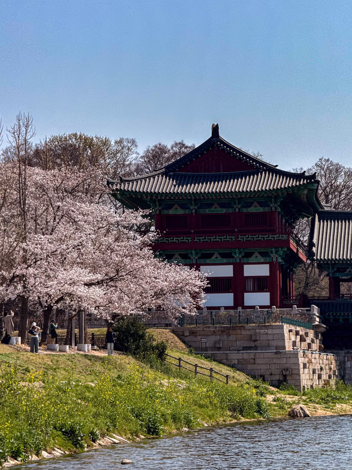 외국인들이 찍은 경주 여행 사진 10