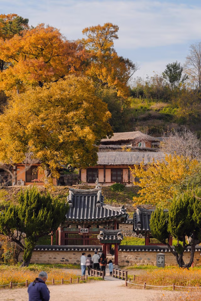 외국인들이 찍은 경주 여행 사진 11