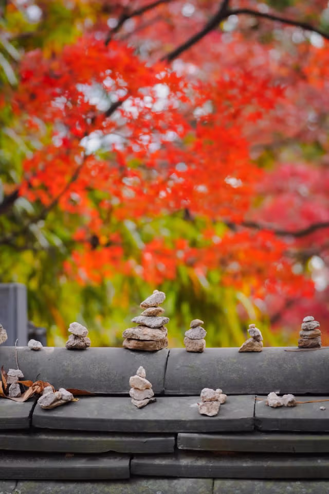 외국인들이 찍은 경주 여행 사진 12