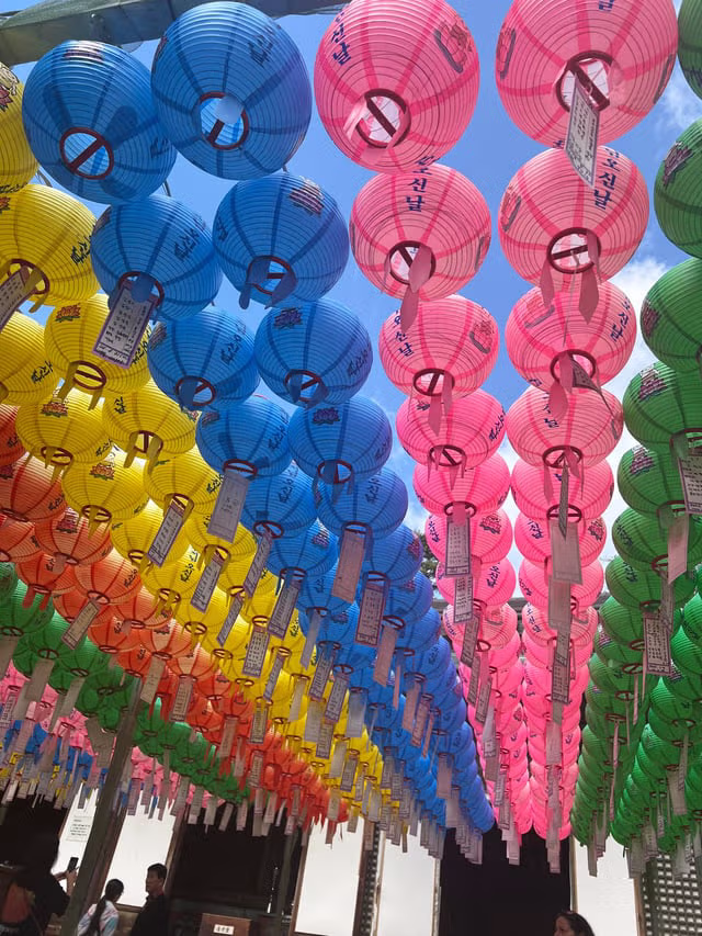 외국인들이 찍은 경주 여행 사진 15