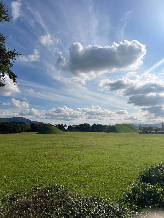 외국인들이 찍은 경주 여행 사진 16