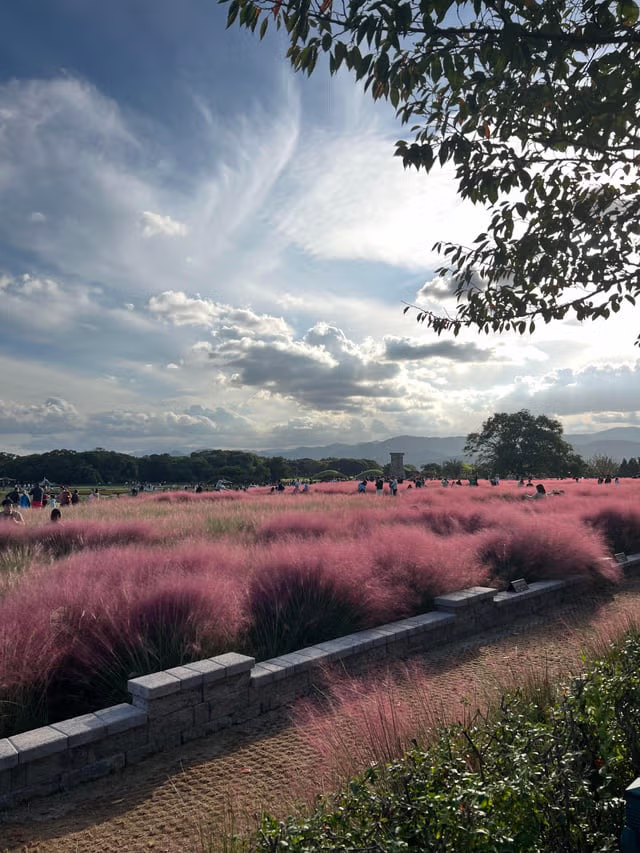 외국인들이 찍은 경주 여행 사진 17