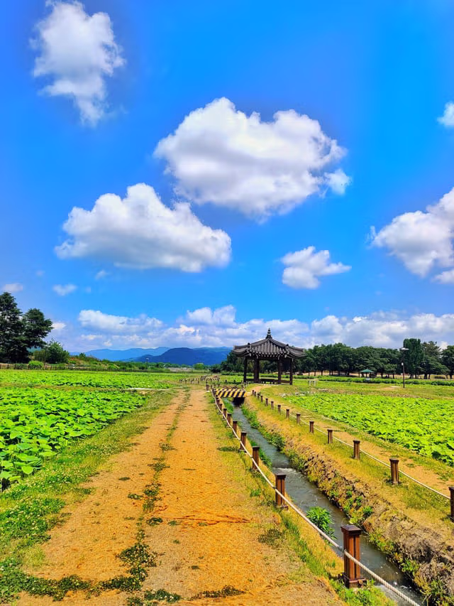 외국인들이 찍은 경주 여행 사진 19