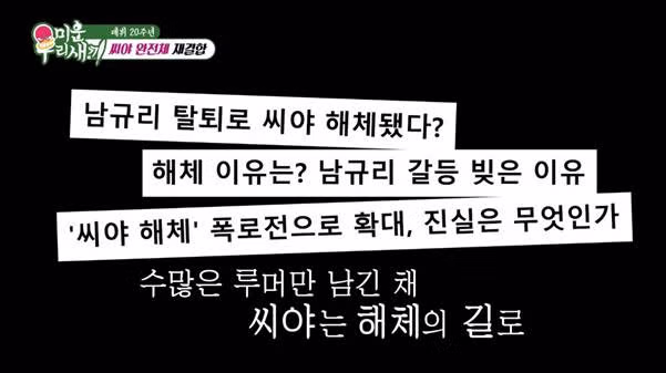 기다려준 팬한테 보답하고 싶다는 씨야.jpg 7