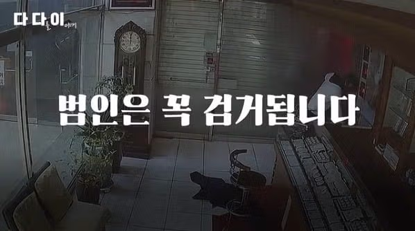 금은방 턴 뒤 호주로 튀다 출국장에서 잡힌 도둑이 남긴 말 18