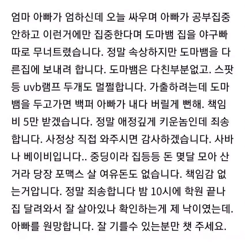 도마뱀 분양글을 올린 중학생.jpg 2