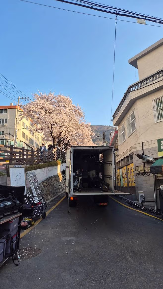 "1년 기다린 벚꽃길인데…" 길 막고 드라마 촬영 민폐 논란 3