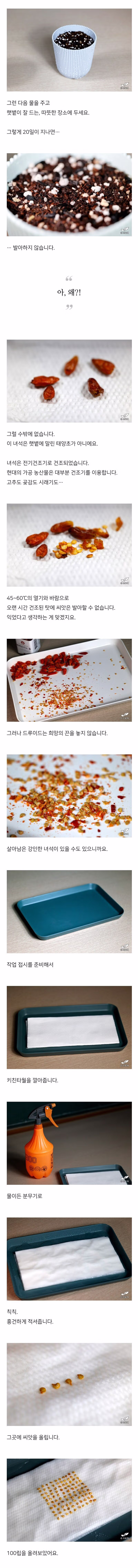 검역기관 머리 아프게 만드는 글 2