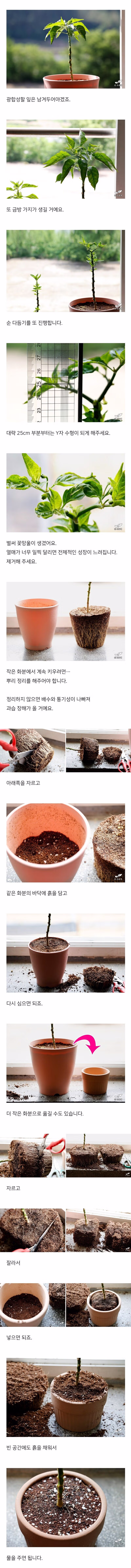 검역기관 머리 아프게 만드는 글 3