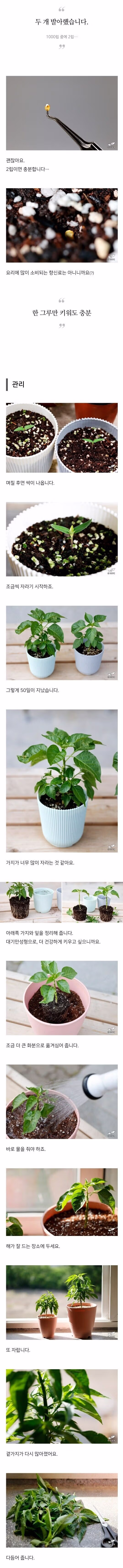 검역기관 머리 아프게 만드는 글 5