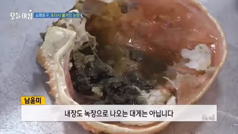 MBC도 당한 소래포구 뒷통수 14