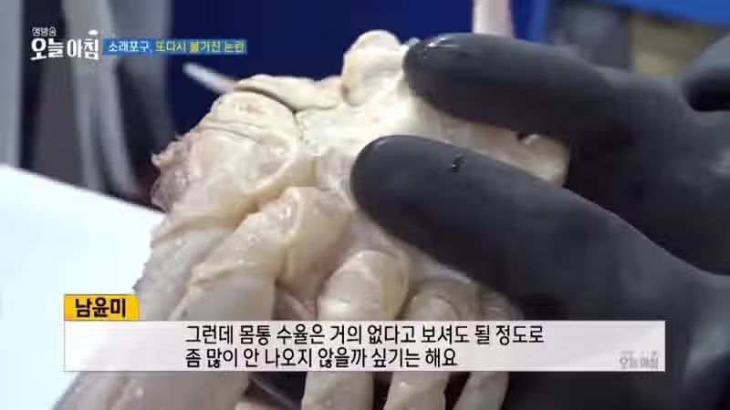 MBC도 당한 소래포구 뒷통수 11