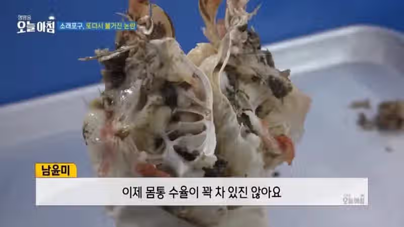 MBC도 당한 소래포구 뒷통수 13