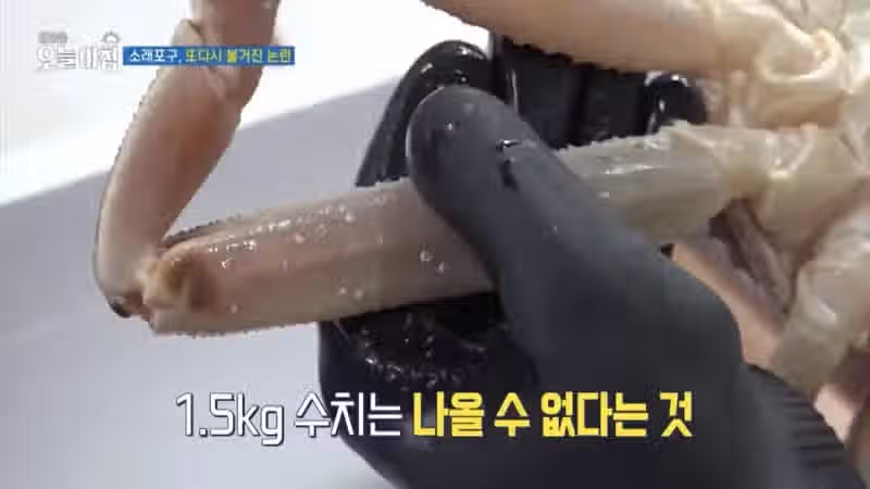 MBC도 당한 소래포구 뒷통수 10