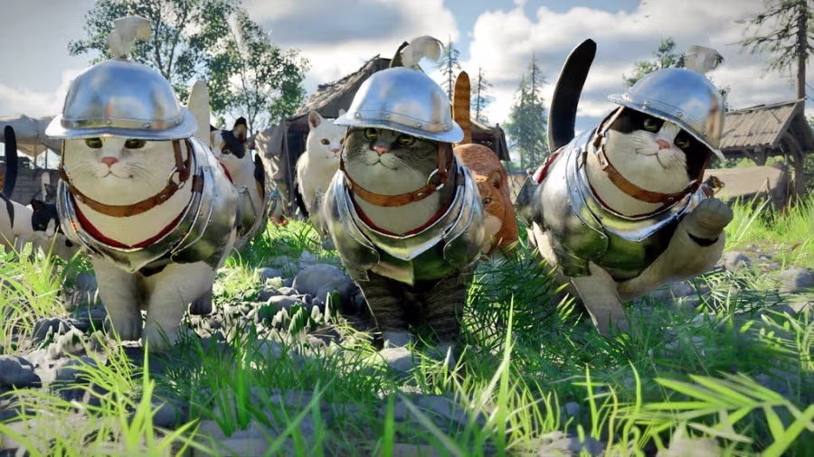 붉은사막)본격 고양이 콜렉팅게임 2