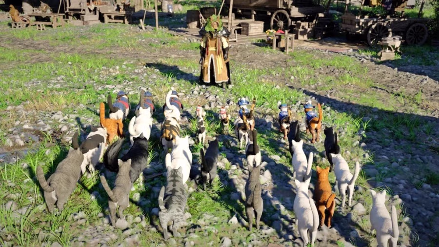 붉은사막)본격 고양이 콜렉팅게임 4