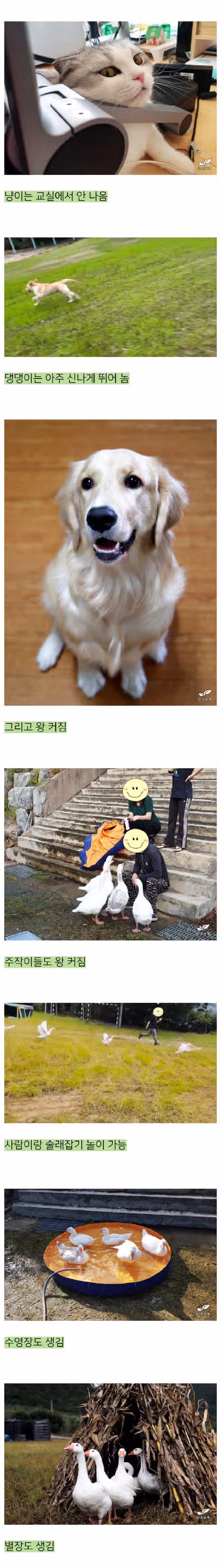 폐교를 빌린 어느 블로거 3