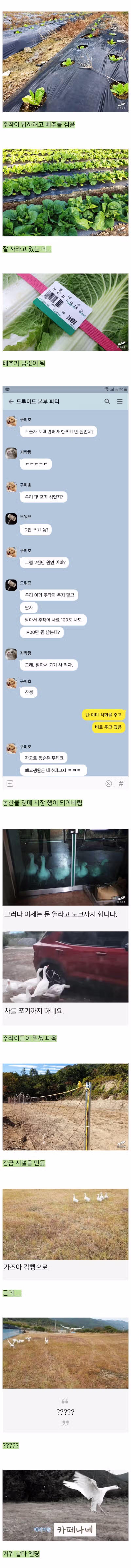 폐교를 빌린 어느 블로거 4