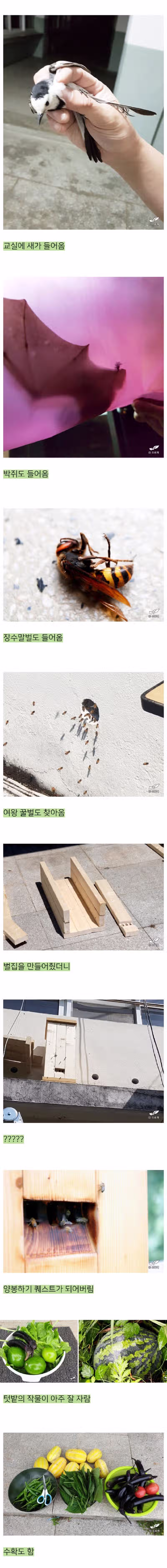폐교를 빌린 어느 블로거 2