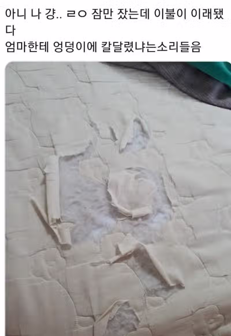 자신의 애착물건 자랑대회..jpg 8