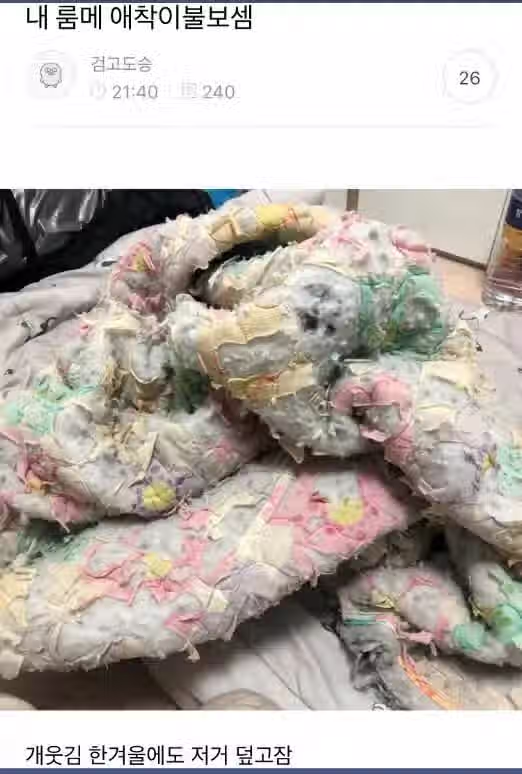 자신의 애착물건 자랑대회..jpg 7