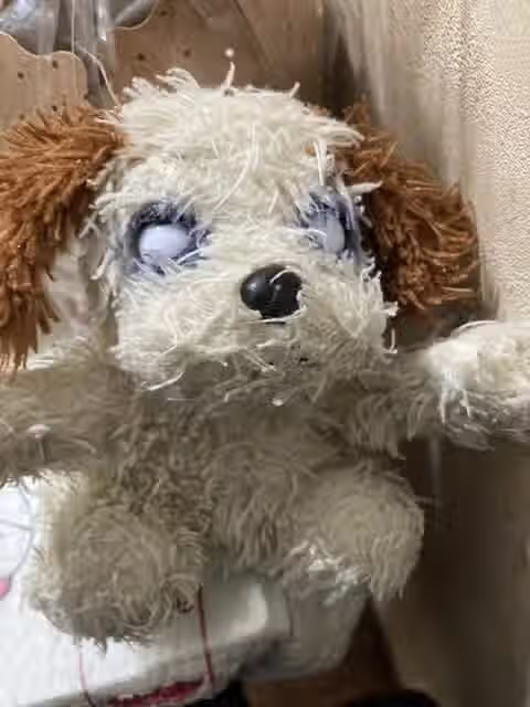 자신의 애착물건 자랑대회..jpg 11