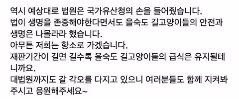 박형준 부산시장의 묘(猫?)한 발언 3