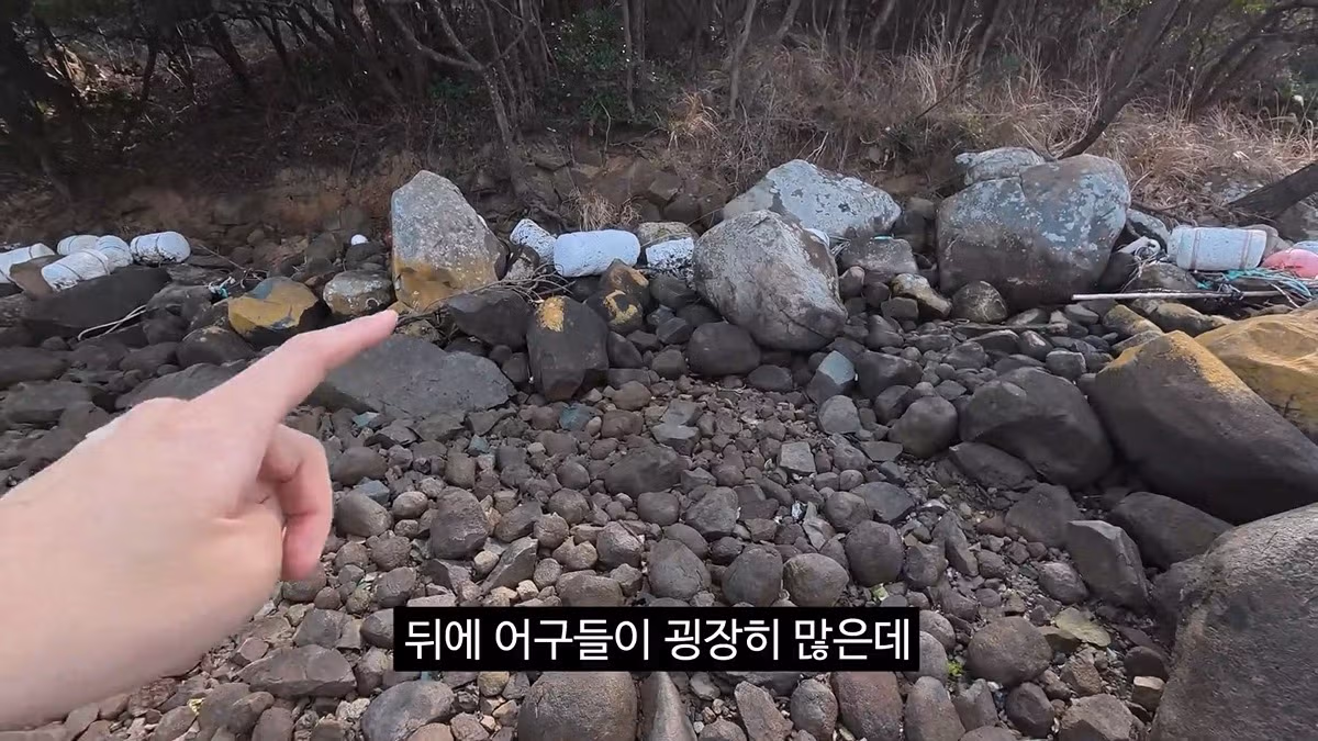 공무원들이 당근을 흔든것 같다는 이번 김선태 여수 섬박람회 홍보영상 29