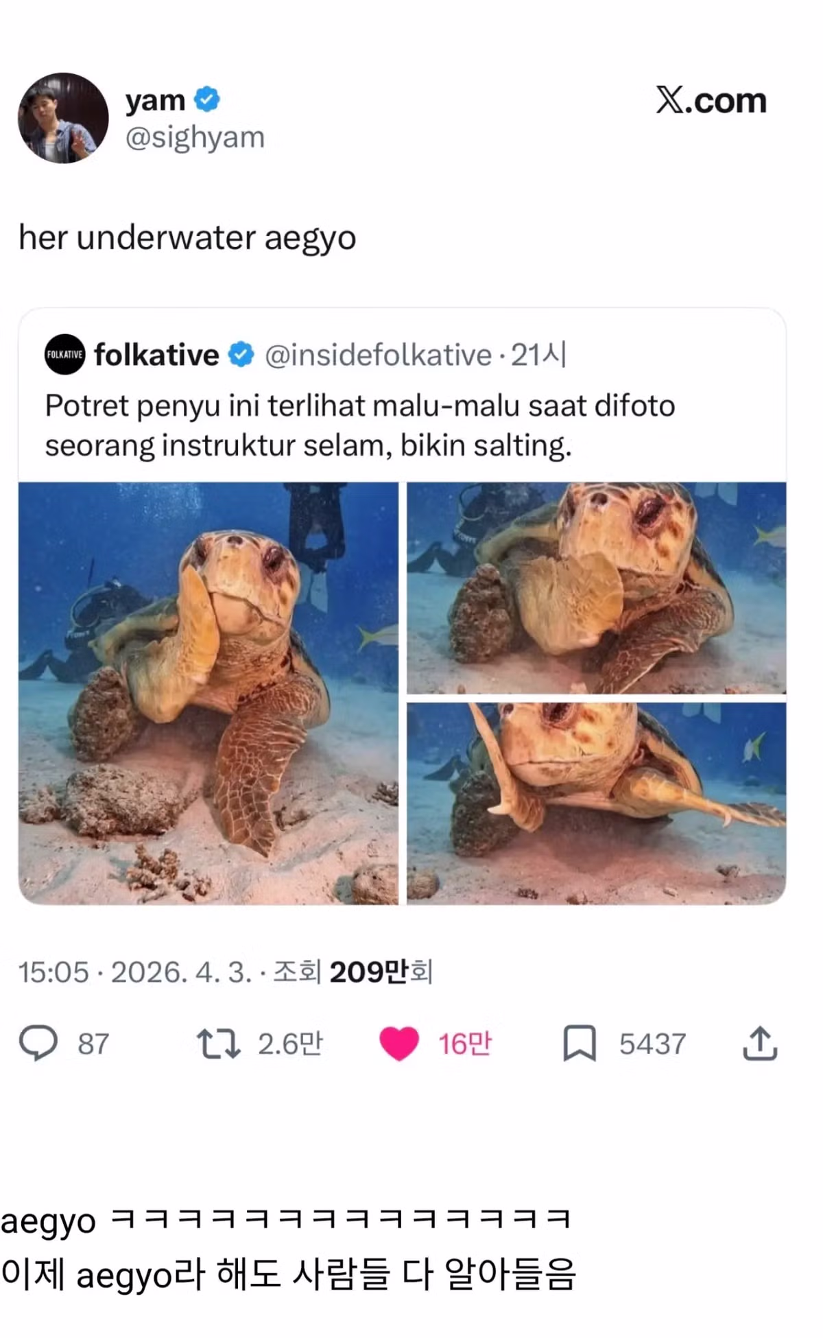 해외 반응 난리난 바다거북 사진...jpg 2