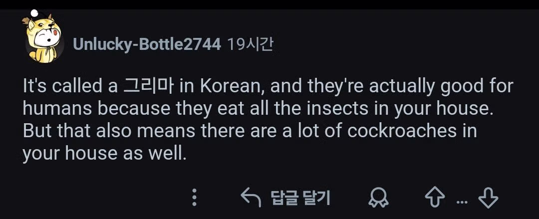 약혐) 한국에서 돈벌레 처음 본 외국인 3