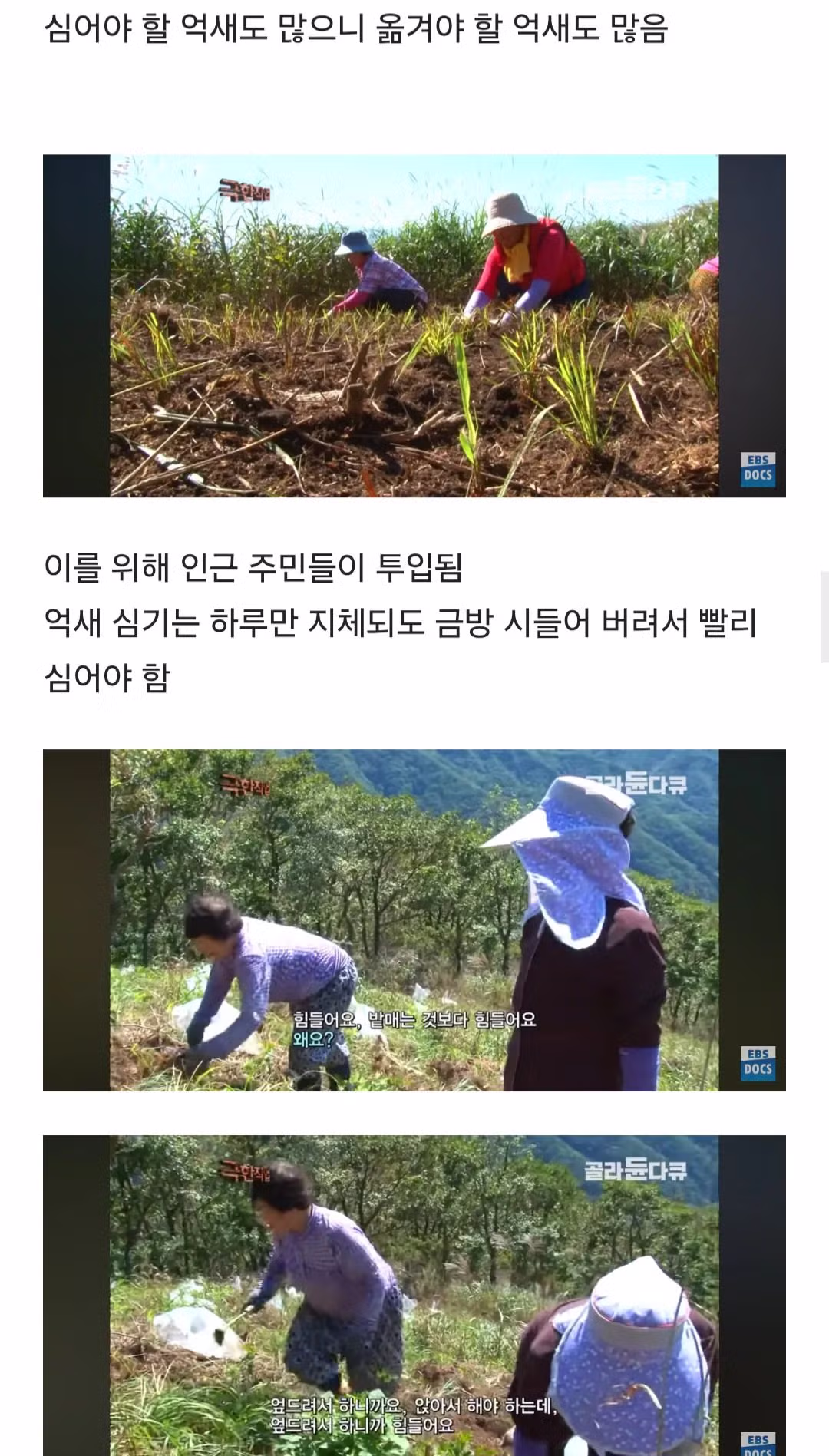 등산로가 만들어지는 과정 10