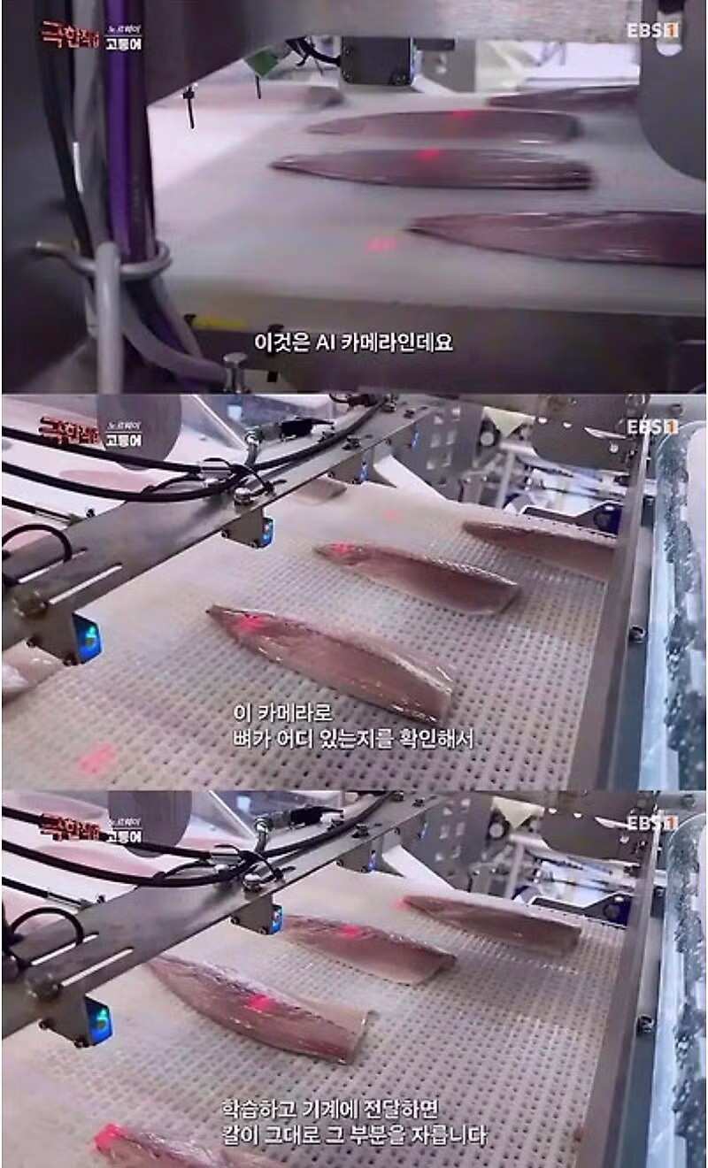 노르웨이 순살 고등어의 비결.jpg 3