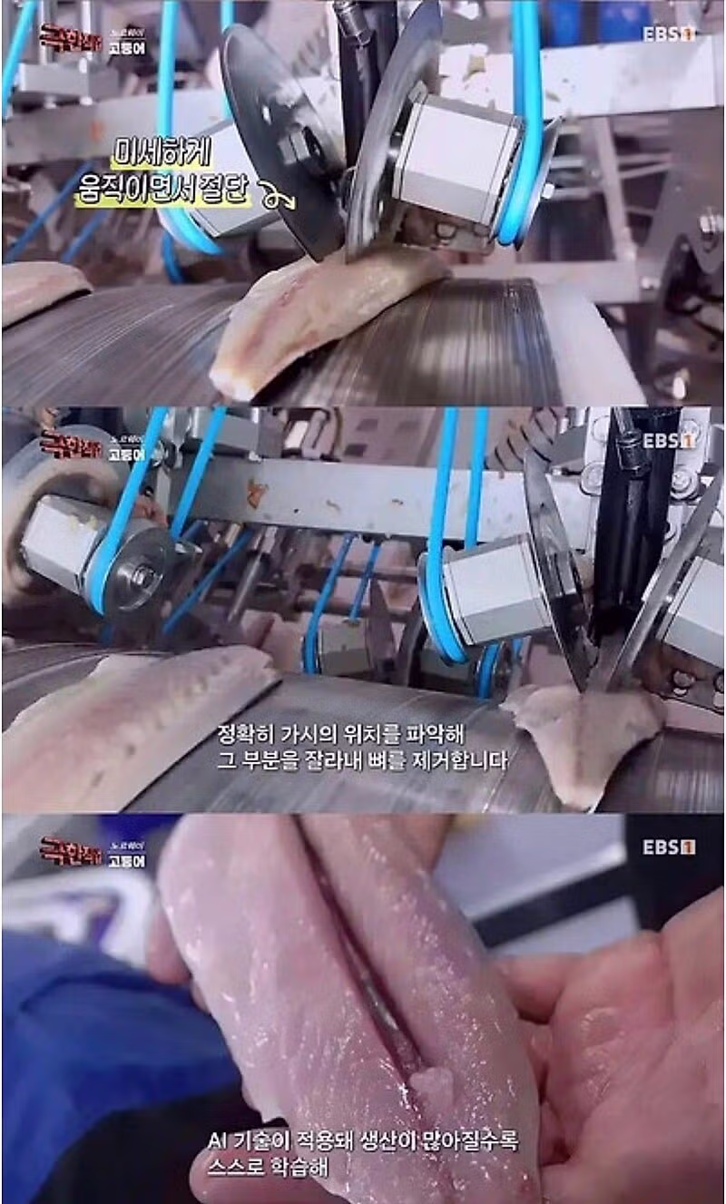 노르웨이 순살 고등어의 비결.jpg 5